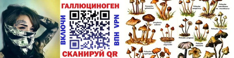 Галлюциногенные грибы Magic Shrooms  Купить закладки  Волгореченск 